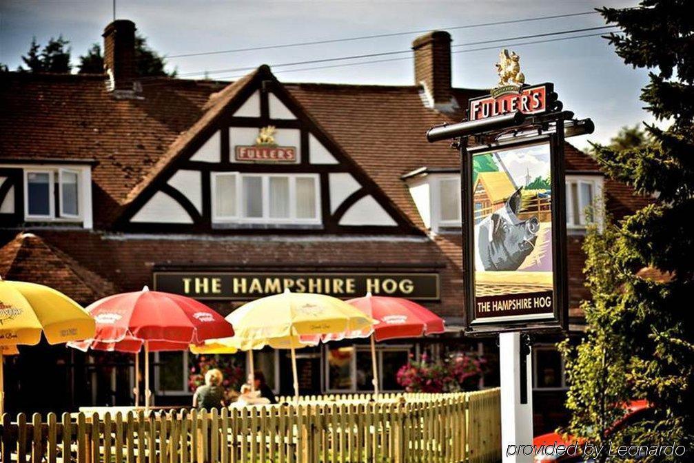 The Hampshire Hog Hotel Clanfield  Exterior photo